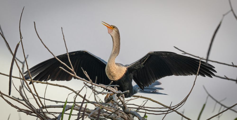 Photograph by Alberto Camardiel