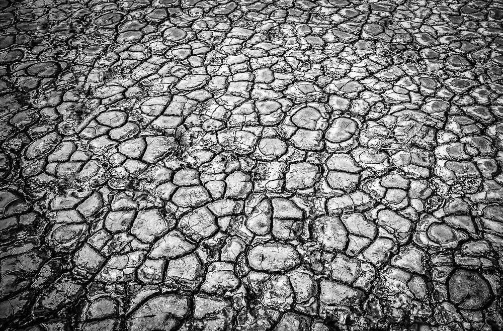 Photograph by Mario Fiorucci