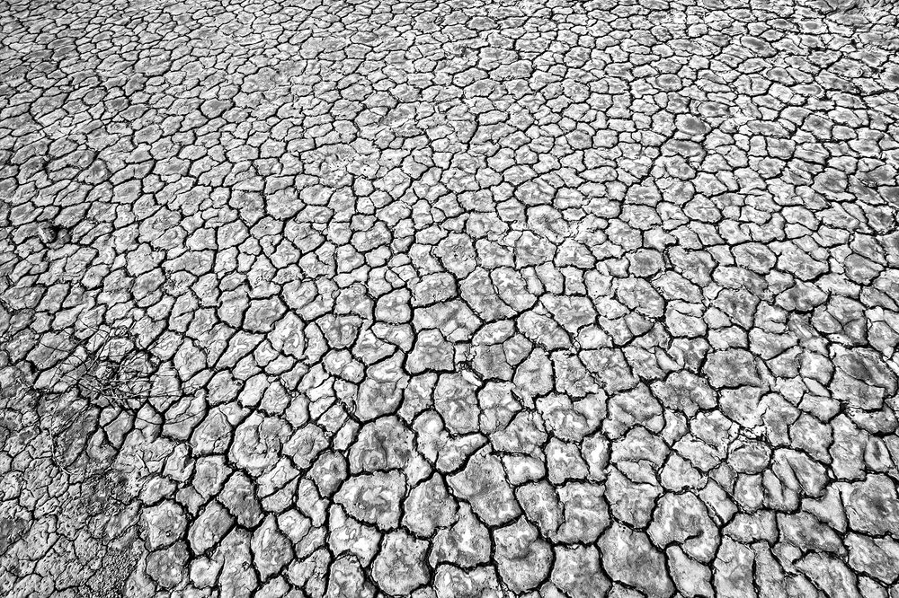 Photograph by Mario Fiorucci