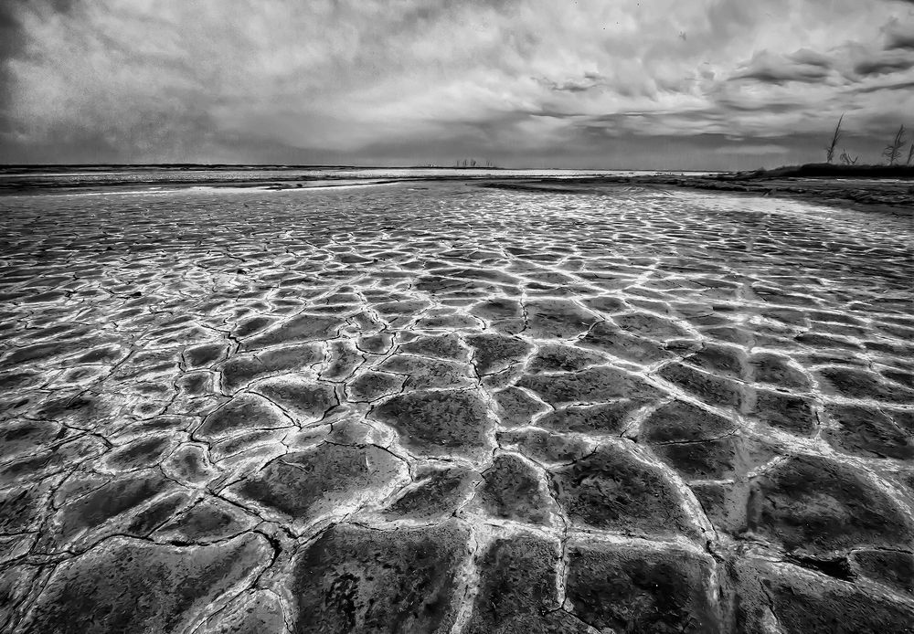 Photograph by Mario Fiorucci