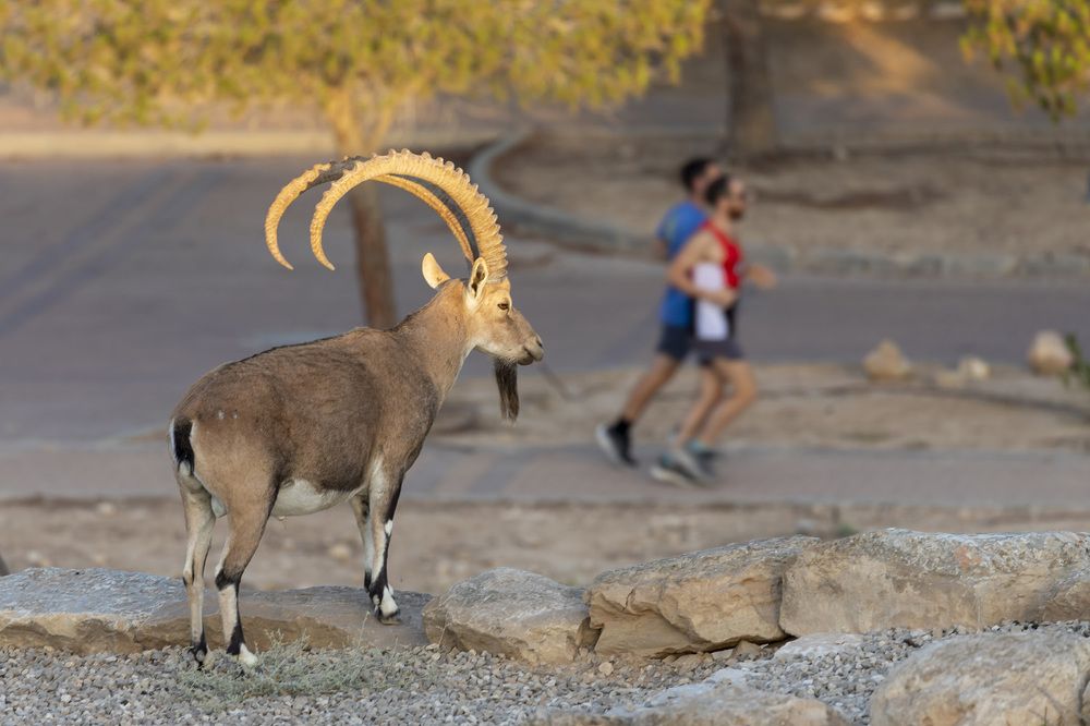 Photograph by Nikolay Tatarchuk