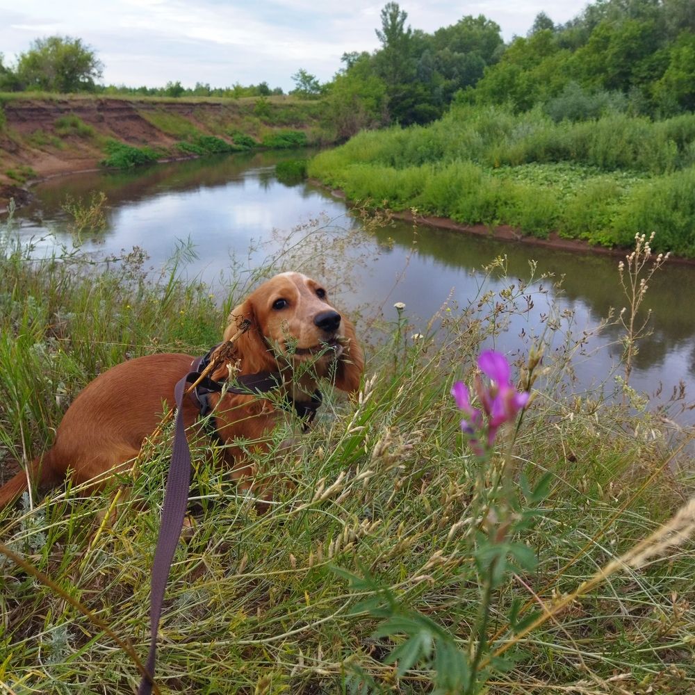 Photograph by Татьяна Копылова