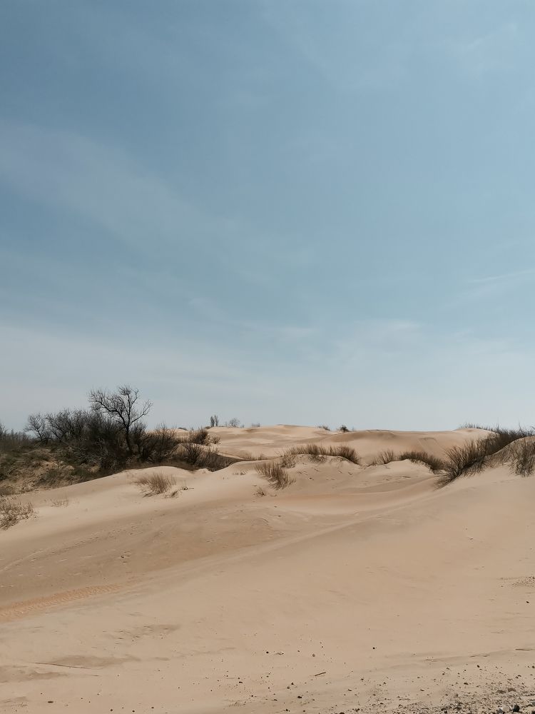 Photograph by Евгений Башуров