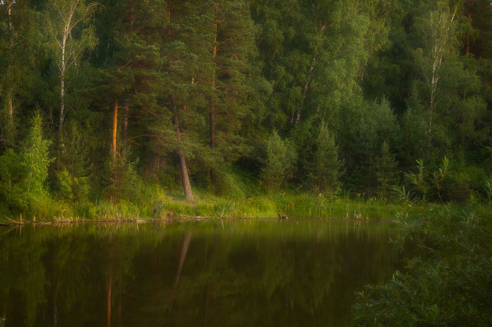 50 оттенков лета