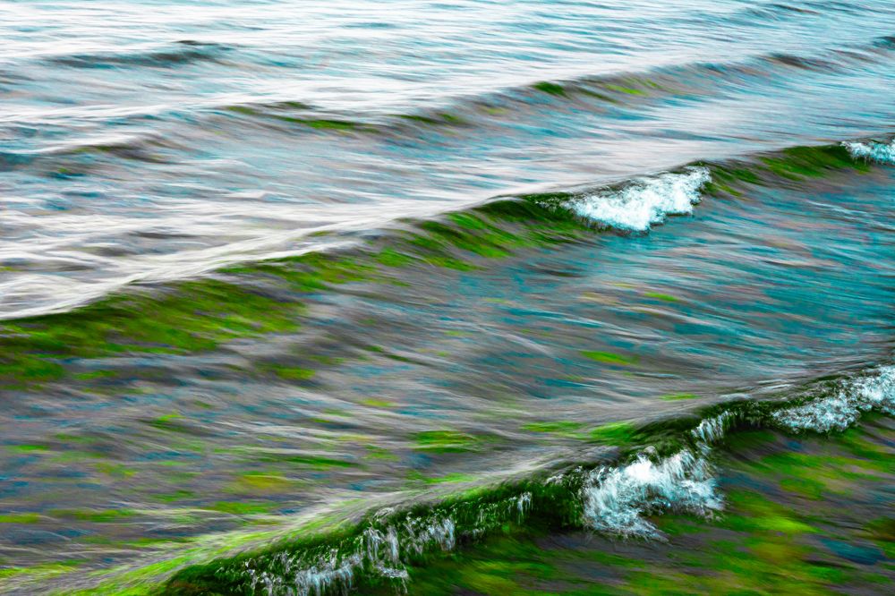 Caresses water love.