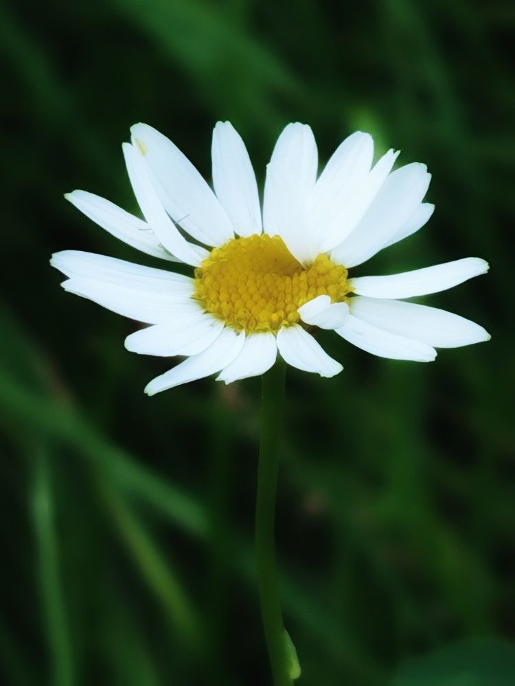 Photograph by Ирина Горбач