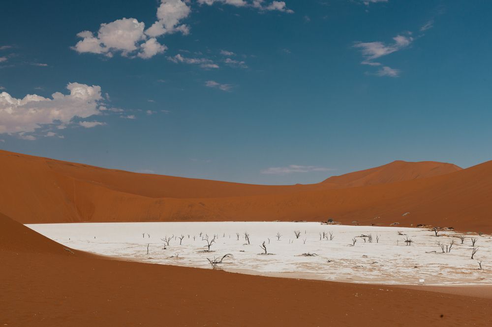 Photograph by Елена Подерегина