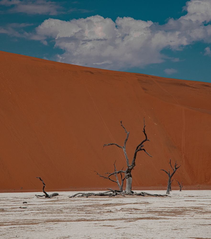 Photograph by Елена Подерегина