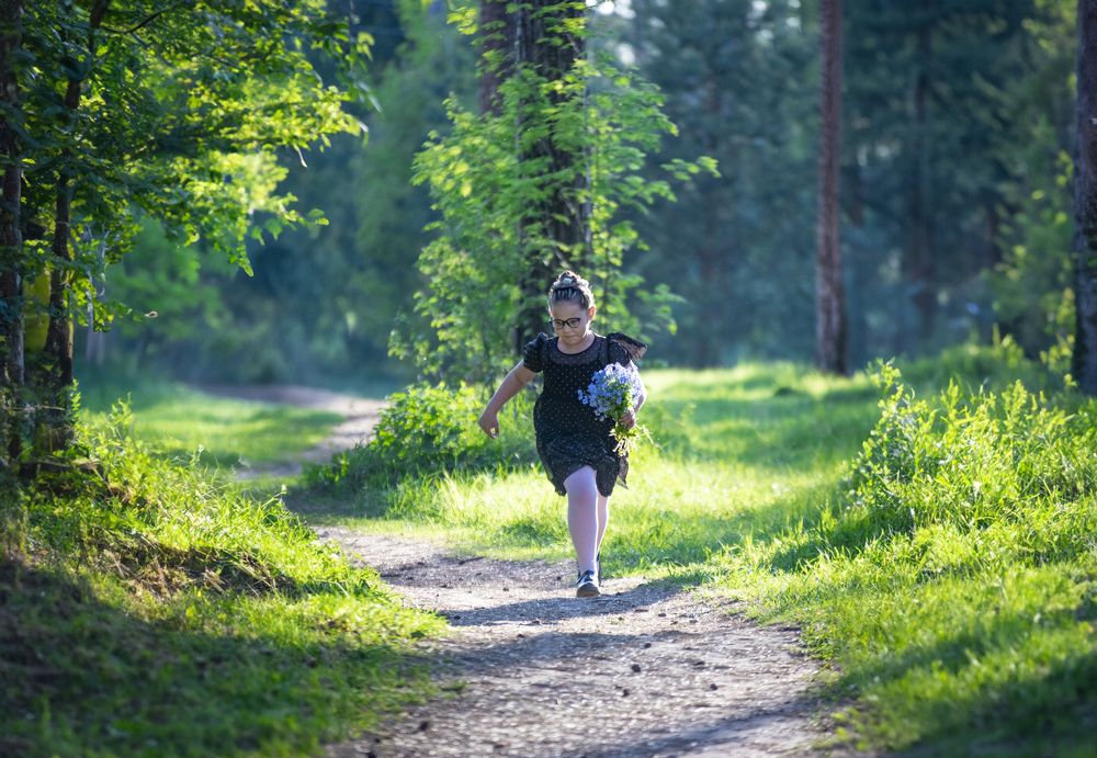 Сказочный лес