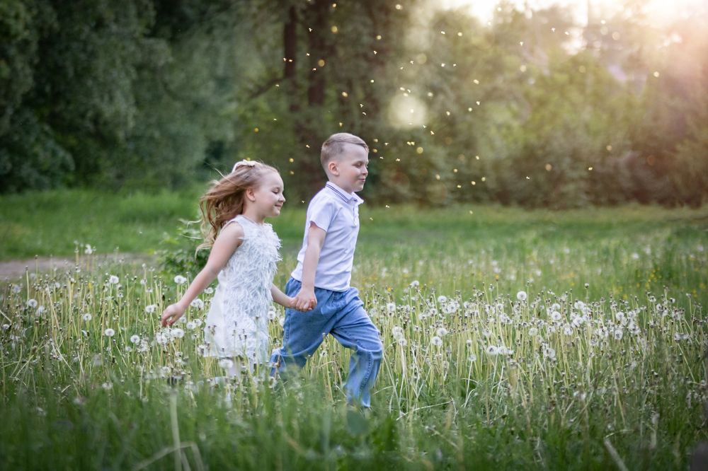 Одуванчики