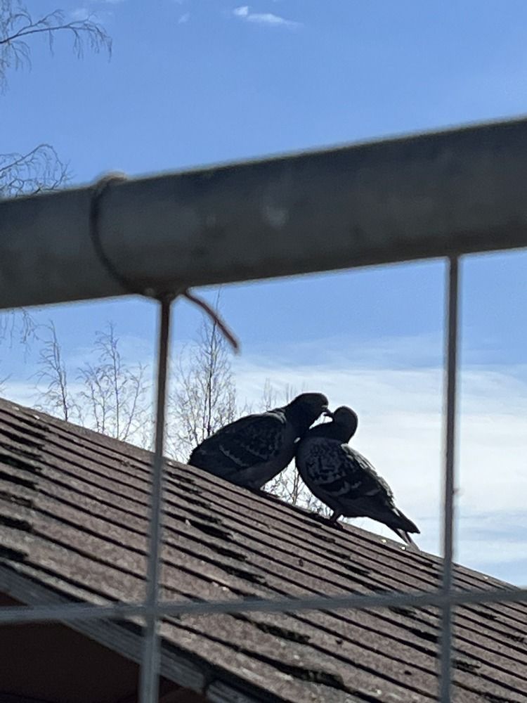 Photograph by Елена Карпухно