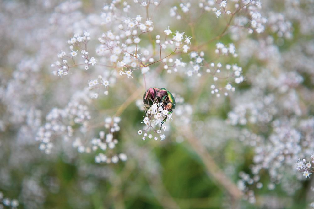Photograph by Макарова Татьяна