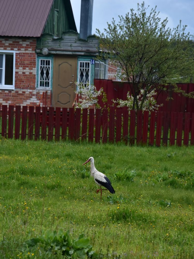 Photograph by Валерий Гудков