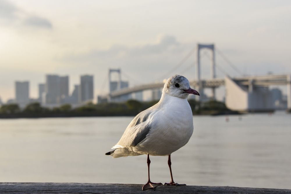 Photograph by Валентин Казанцев