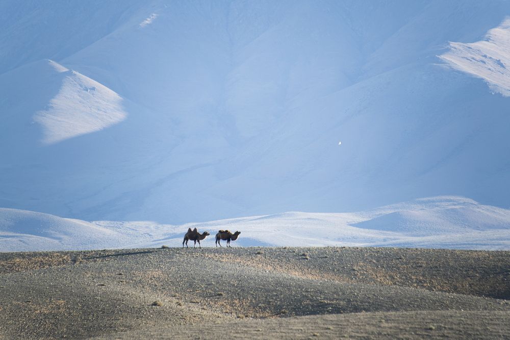 Photograph by Валентин Казанцев
