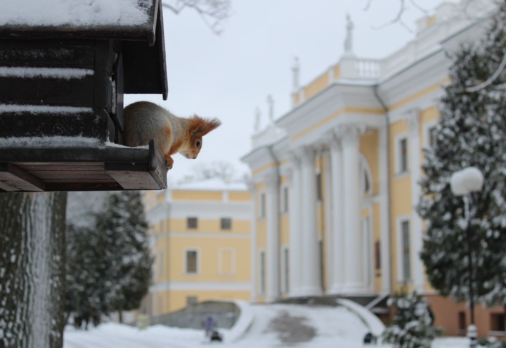 Photograph by Galina Tsmyg