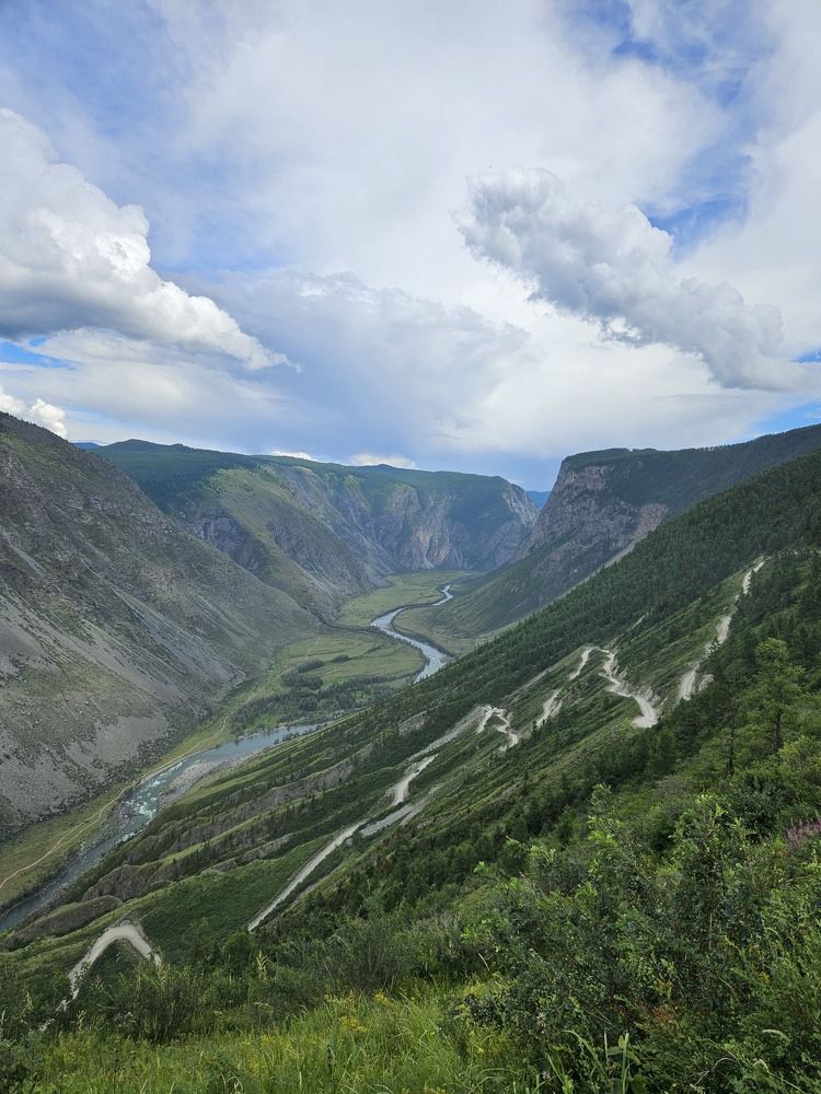 Фотография автора Регина Цыганова
