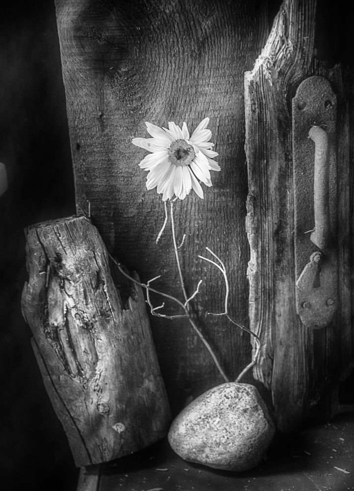 Photograph by Борис Кравецкий