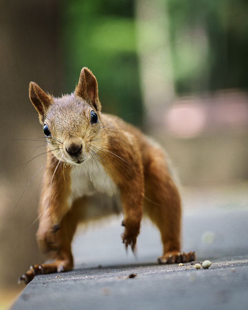 Photograph by Ирина Остапенко