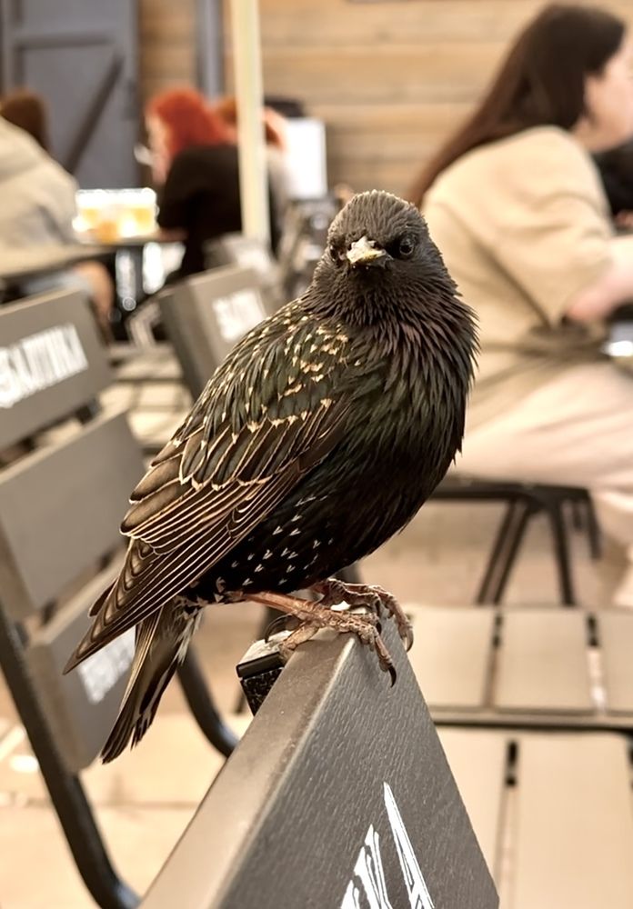 Photograph by Гуляева Светлана