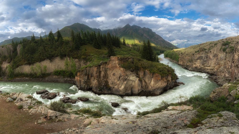 Photograph by Olga Sharikova