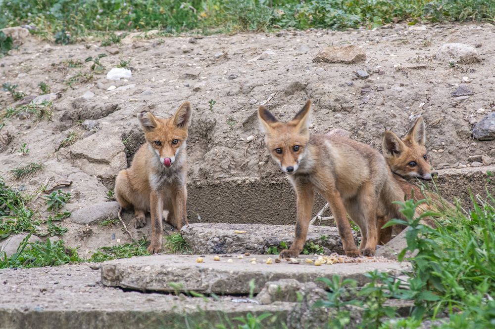 Photograph by Савчук Сергей