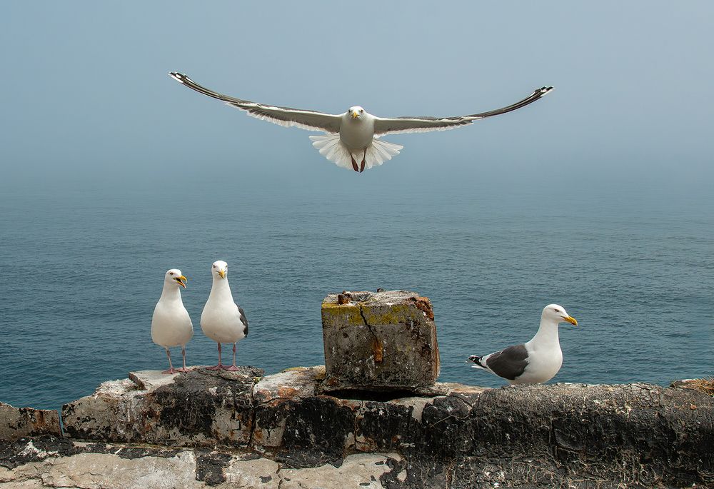 Photograph by Дмитрий Потапов