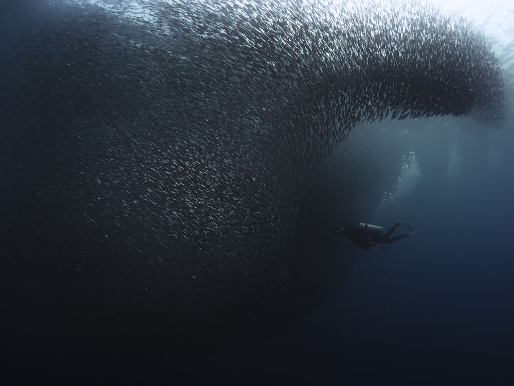 Photograph by Akira Asahina