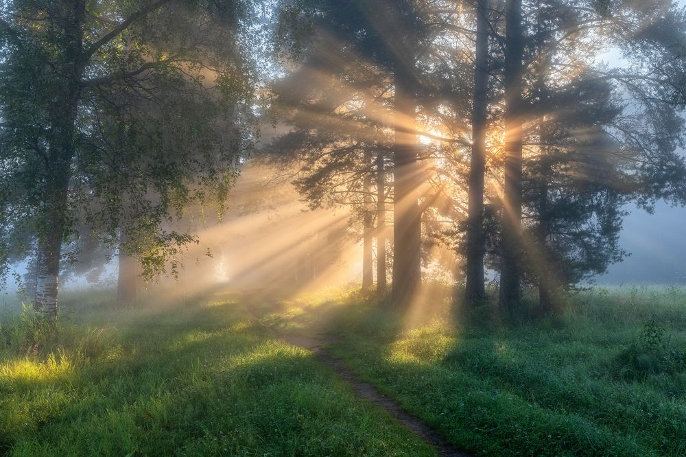 Photograph by Alexander Pashenichev