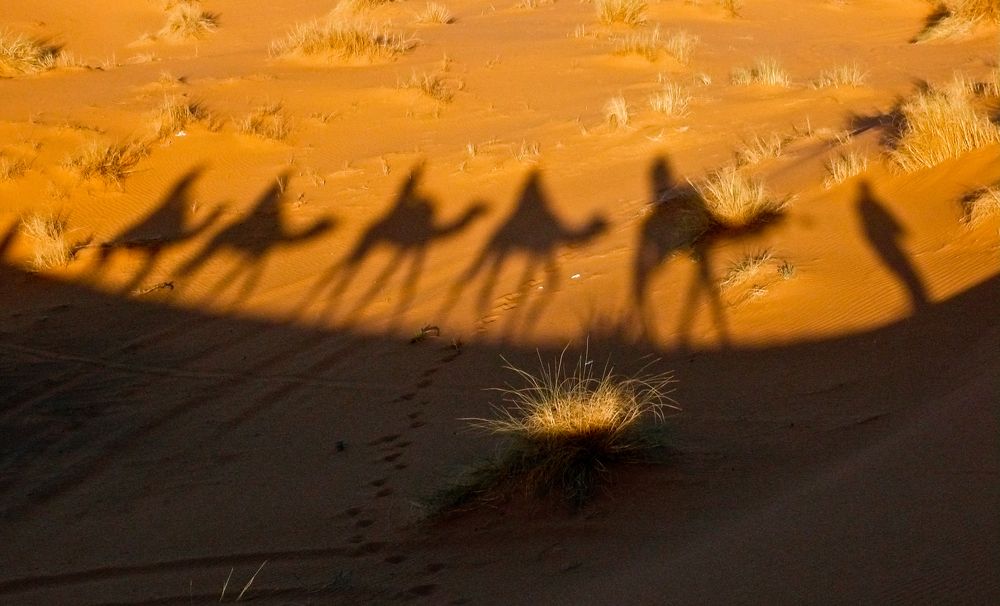 Фотография автора toufik loukili