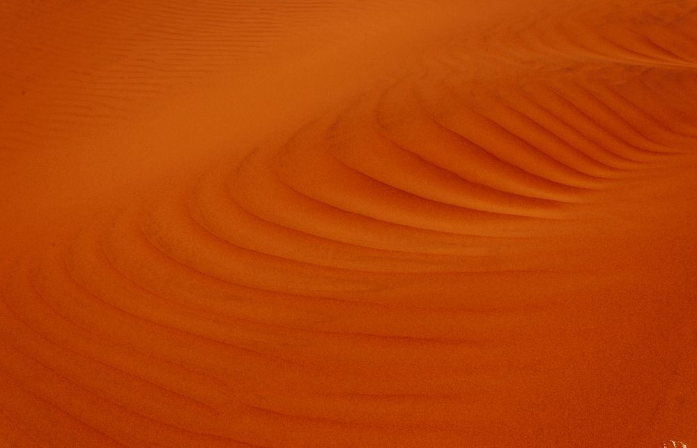 Фотография автора toufik loukili