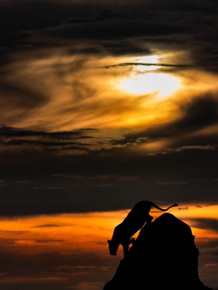 Photograph by Hanain