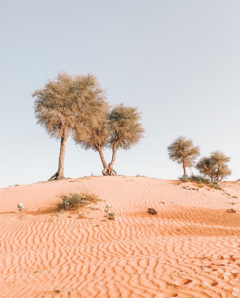 Photograph by Юлия