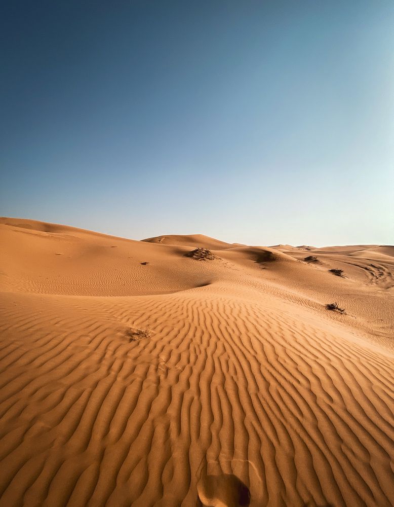 Photograph by Юлия