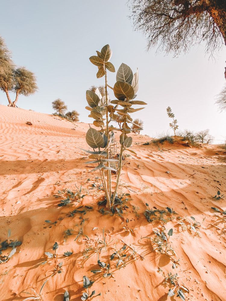 Photograph by Юлия