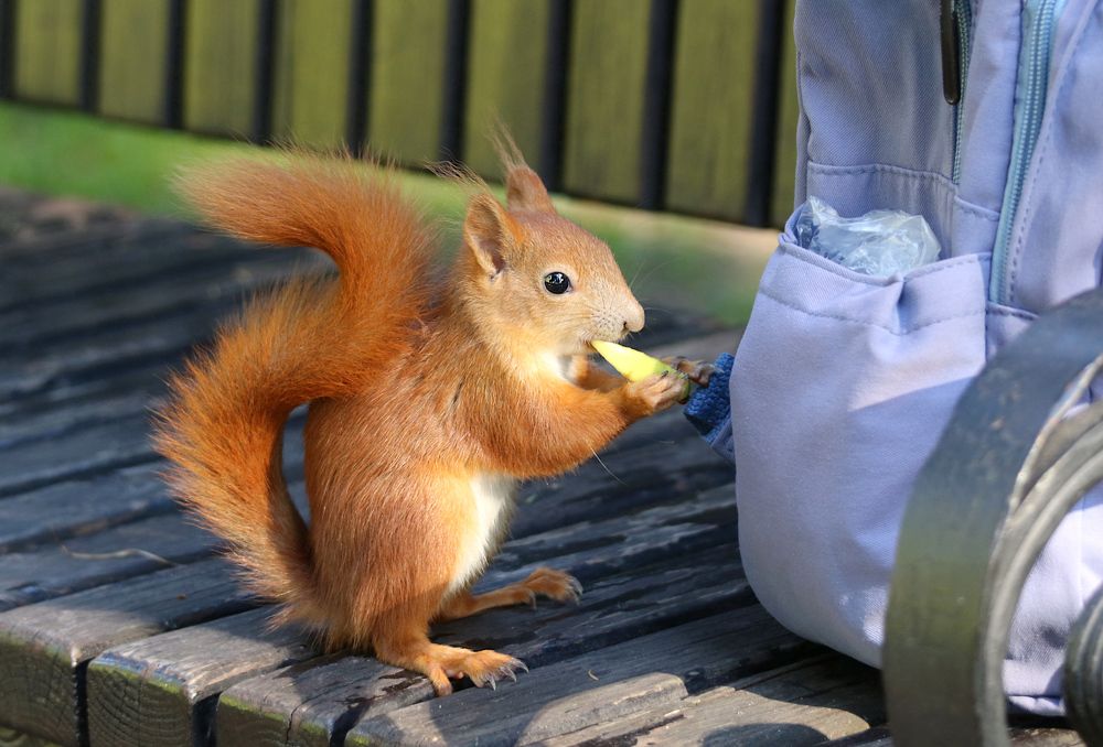 Photograph by Шруб (Беляева) Татьяна