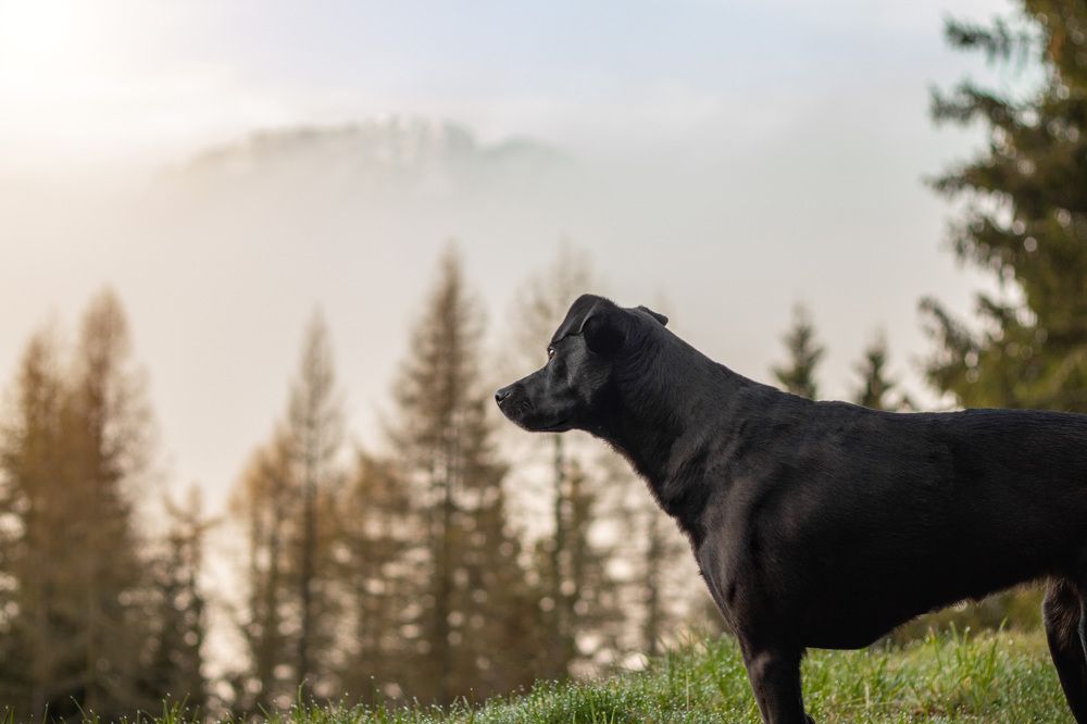 Photograph by Larissa Lohmann