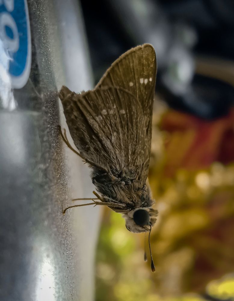 Photograph by Kishan upadhyay