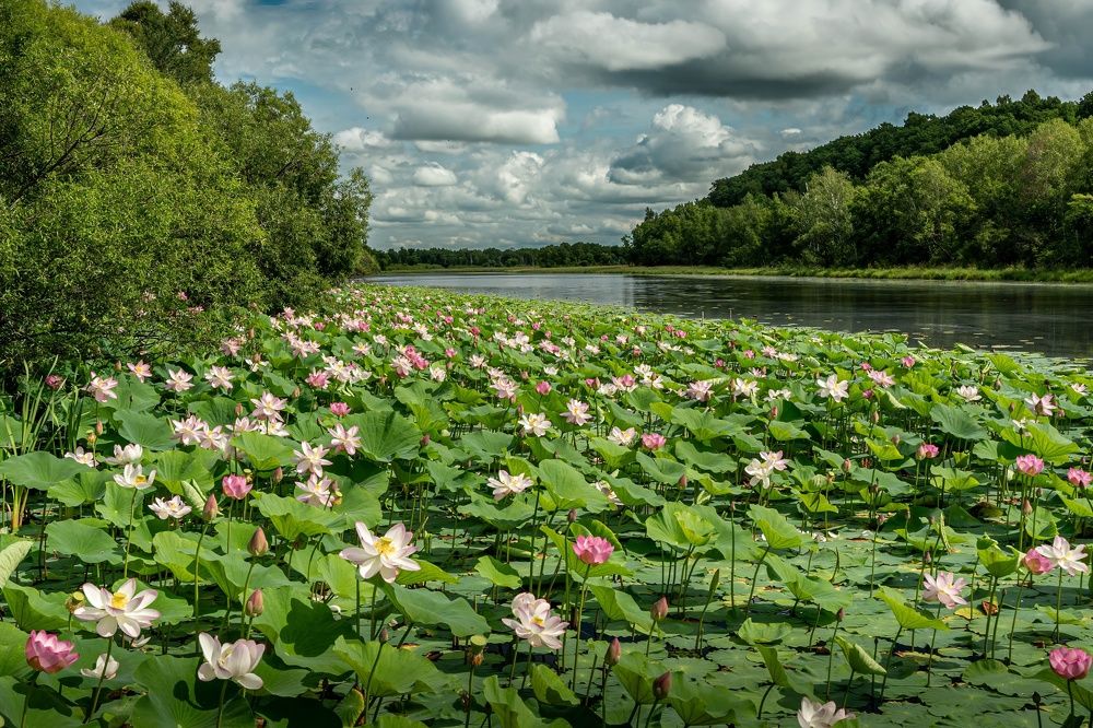 Photograph by Игорь Иванов