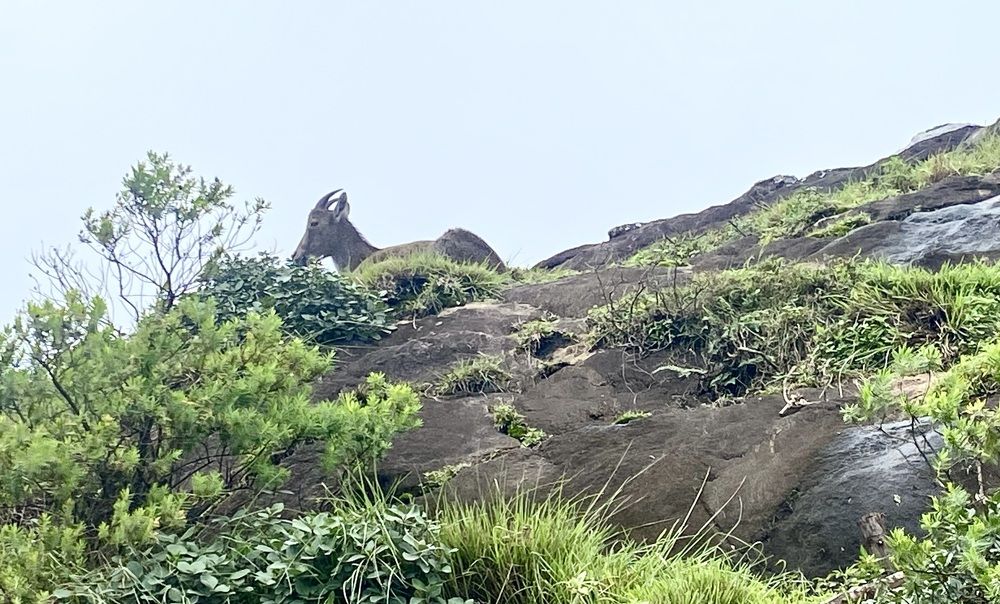 Photograph by Prabhu Viswanathan