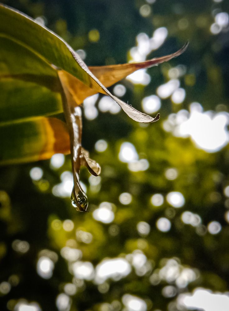 Photograph by Kishan Upadhyay