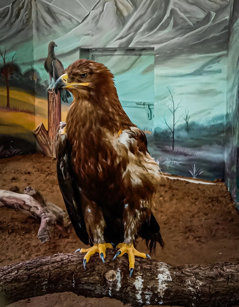 Photograph by Kishan Upadhyay