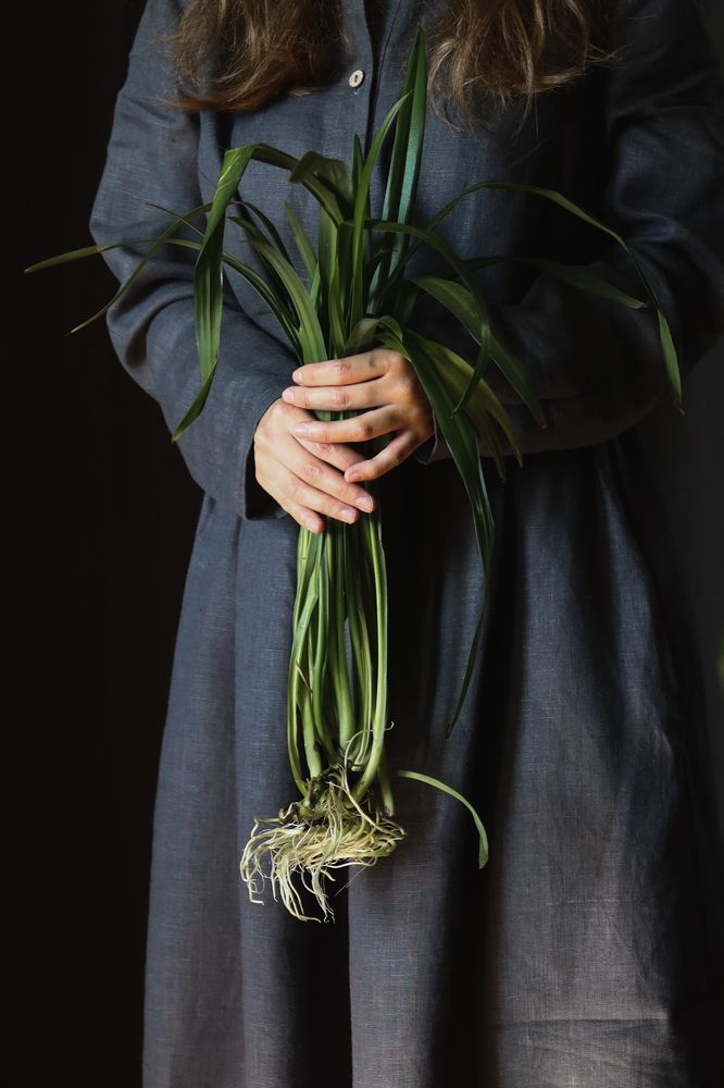 Моя Травология