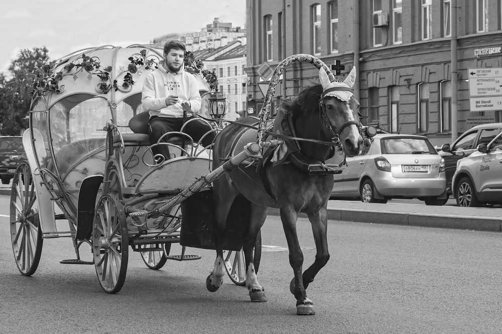 Photograph by Евгений Кучеренко