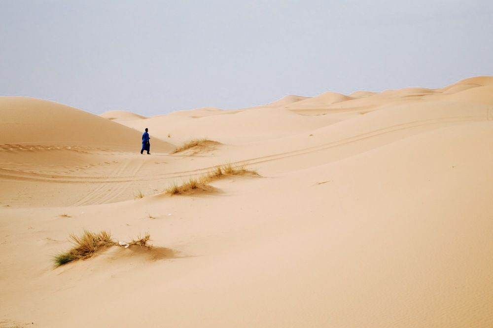 Фотография автора Olivia Velarde