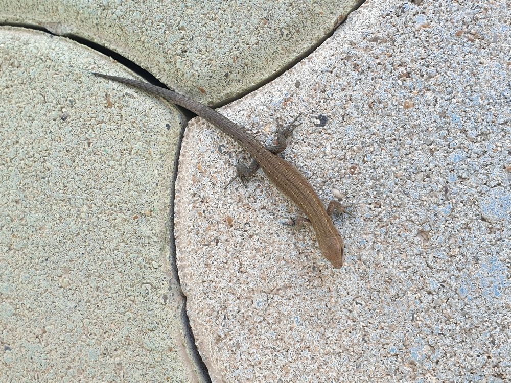 Photograph by Денис Заславский