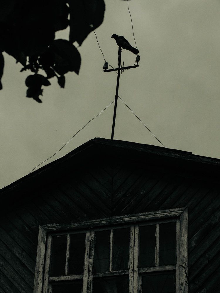 Photo #10863303