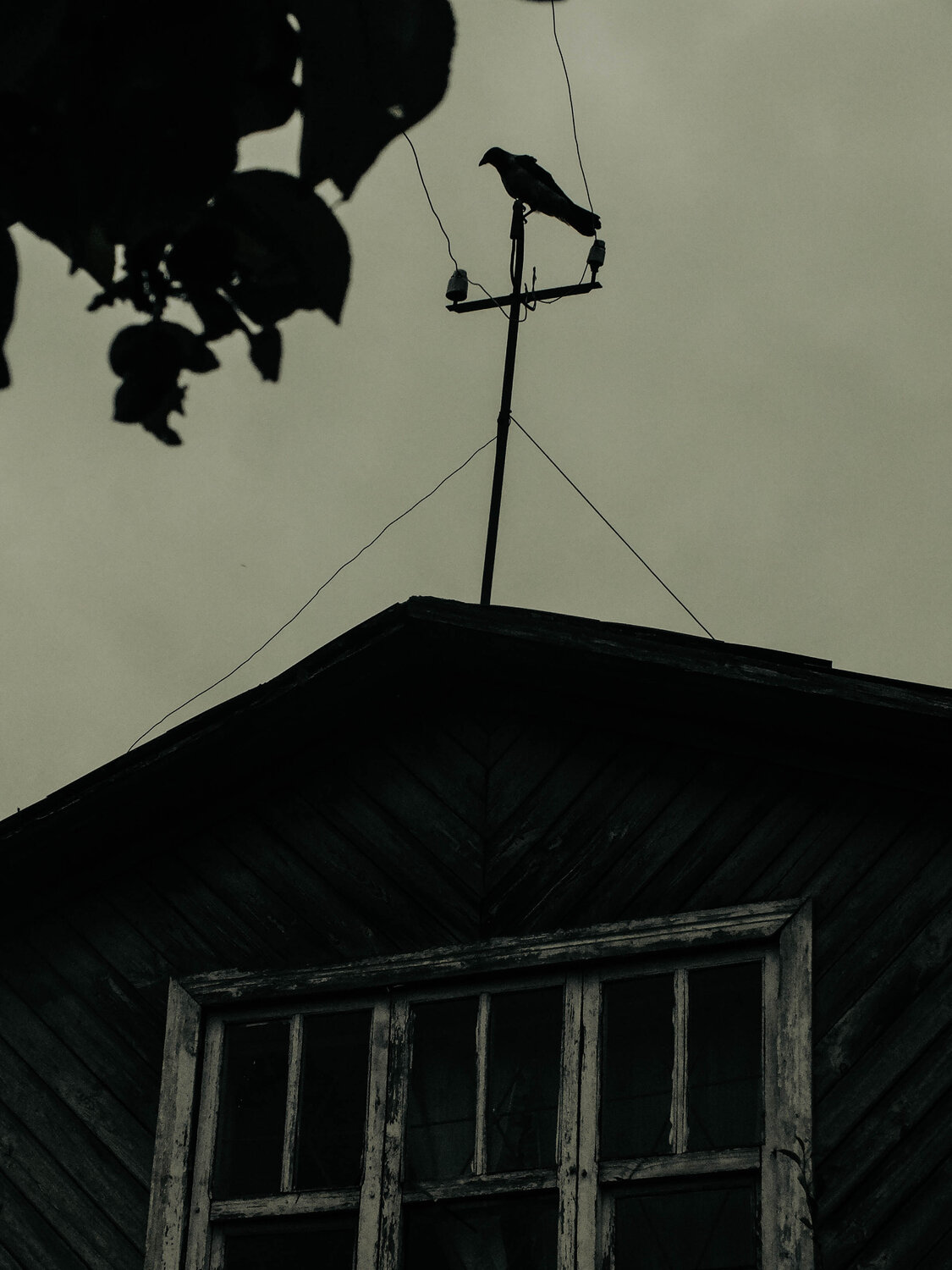 Photo #10863303