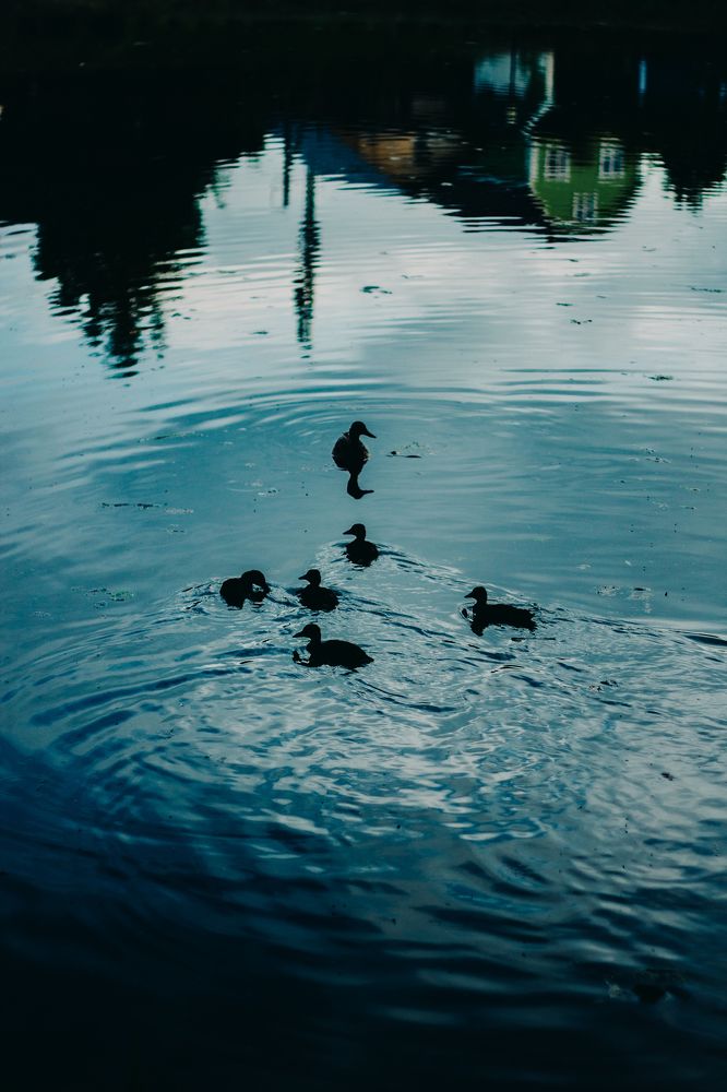 Photograph by Артем Нужин