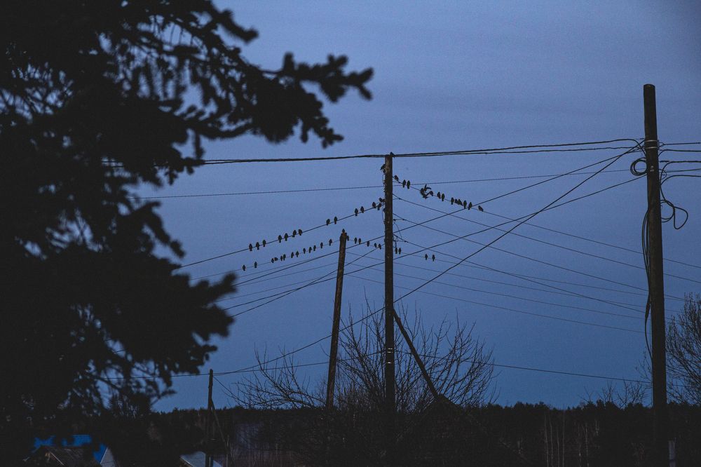 Photograph by Артем Нужин